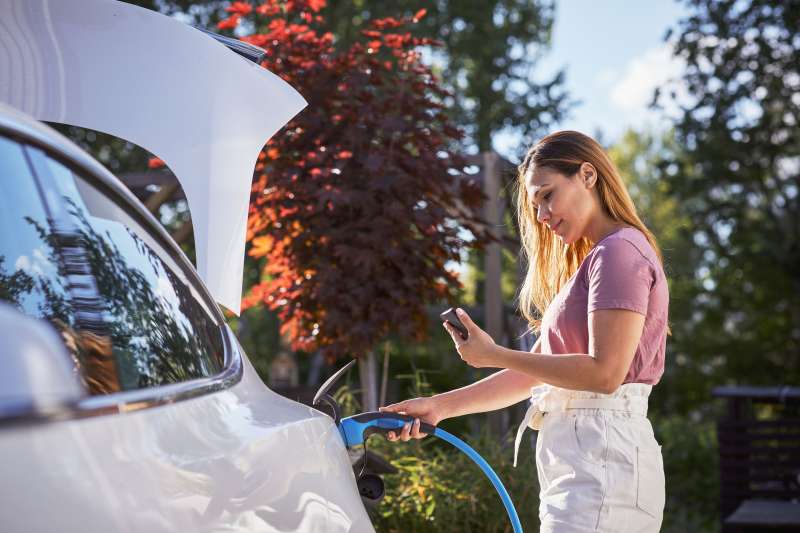 car Dealerships